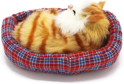 2Pcs Sleeping Cat in Pet Pad Doll Toy, Mini Kitten in Pet Pad with Meows Sounds Decor for Office Desk Hand Toy Gift for Kids Boys Girls