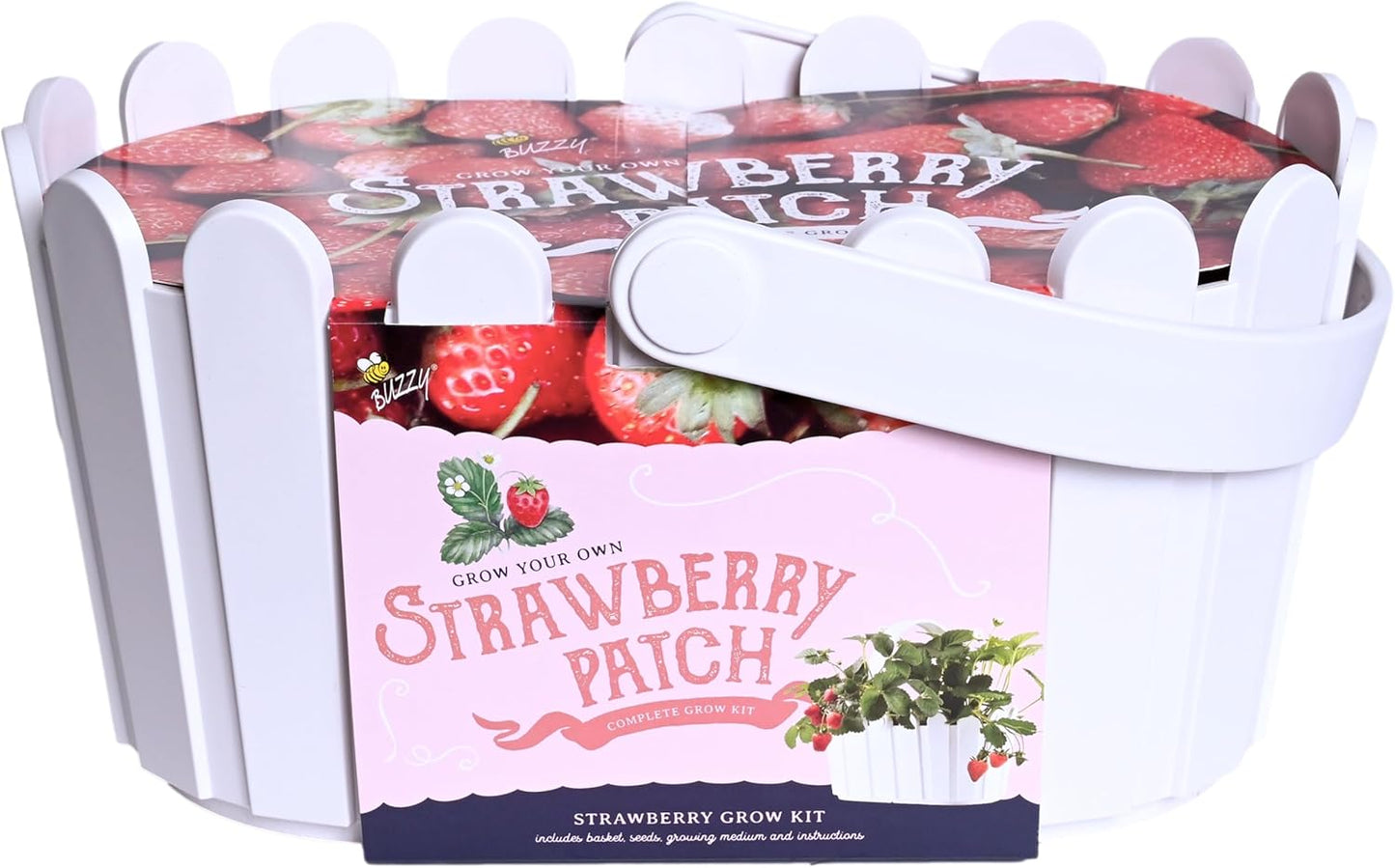 Buzzy Seeds Strawberry White Fruit Kit