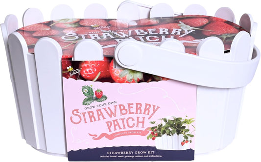 Buzzy Seeds Strawberry White Fruit Kit