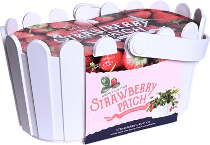 Buzzy Seeds Strawberry White Fruit Kit