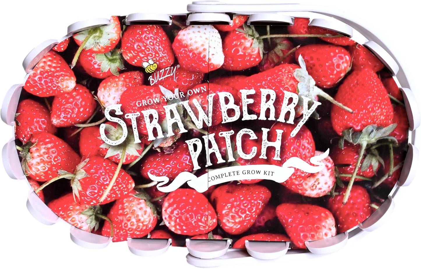 Buzzy Seeds Strawberry White Fruit Kit
