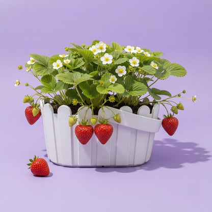 Buzzy Seeds Strawberry White Fruit Kit