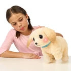 Little Live Pets Ouchies Cooper The Retriever Puppy, 50+ Sounds, Limping to Walking Puppy Toy with Vet Carrier, Interactive Toy Dog for Kids Ages 5+